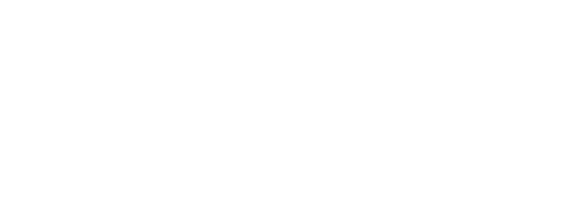 살롱핏